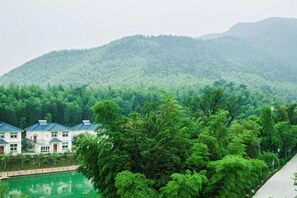 Un hotel con vistas a una montaña boscosa y una masa de agua.