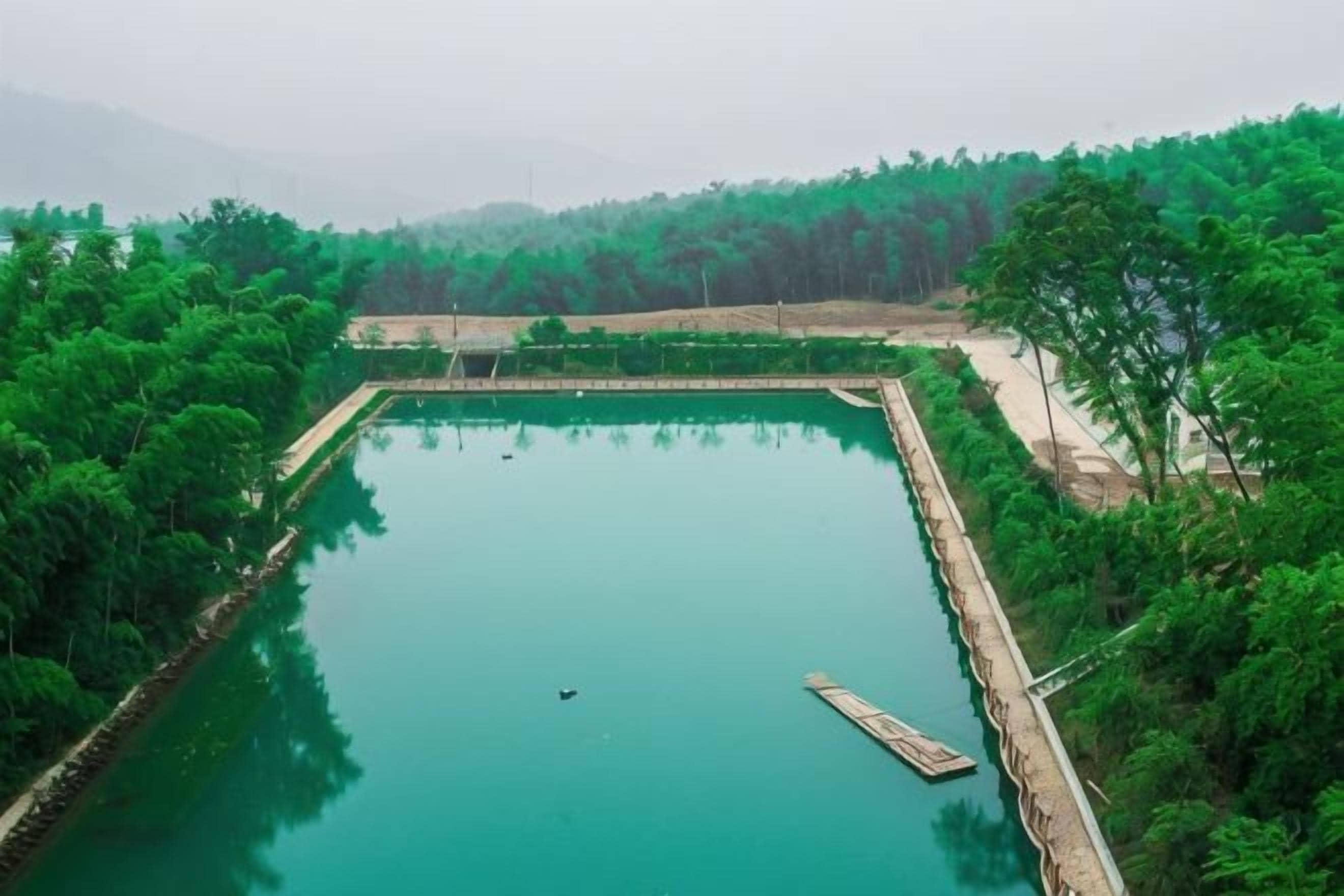 A rectangular water body surrounded by dense greenery, with a wooden dock extending into the water.