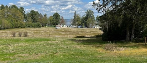 A grassy outdoor area with two lounge chairs facing a fire pit and a view of a lake and trees.