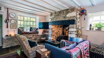 Smart TV, fireplace, books, printers