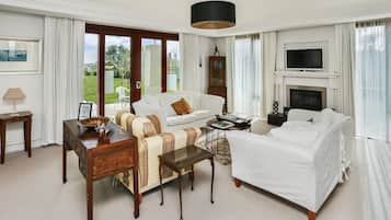 Smart TV, fireplace, books