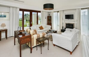 Smart TV, fireplace, books