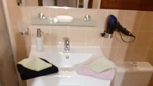 Une salle de bain avec un lavabo blanc, un miroir, des toilettes et un espace douche.
