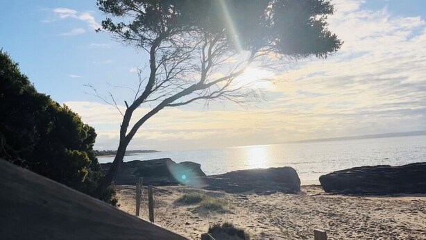 A beach with a tree and rocks in the foreground, and the sun setting over the water in the background. - Cosy Family Home 500 metres from Red Rock Beach (Cowes)
