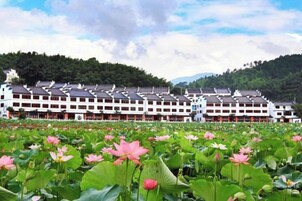 Un hotel con un edificio extenso, un estanque de nenúfares en primer plano y un paisaje montañoso al fondo.