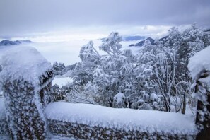 Un paisaje nevado con árboles y montañas al fondo.