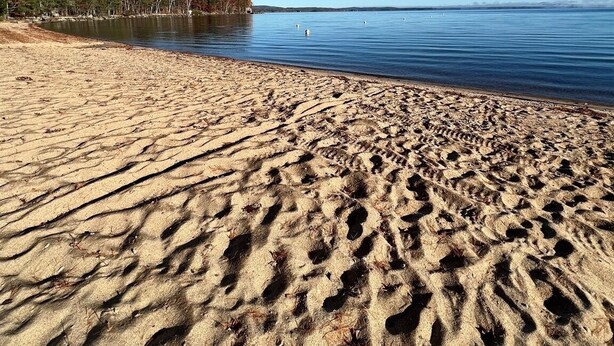 Une plage où l’on peut voir des empreintes de pas dans le sable, un ciel bleu dégagé et une étendue d’eau calme.