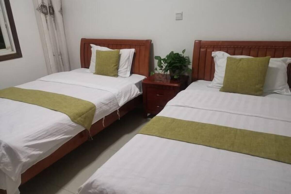 Two single beds with wooden headboards, white bedding, and green throw pillows.