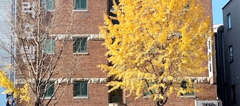 KAYLA HOTEL