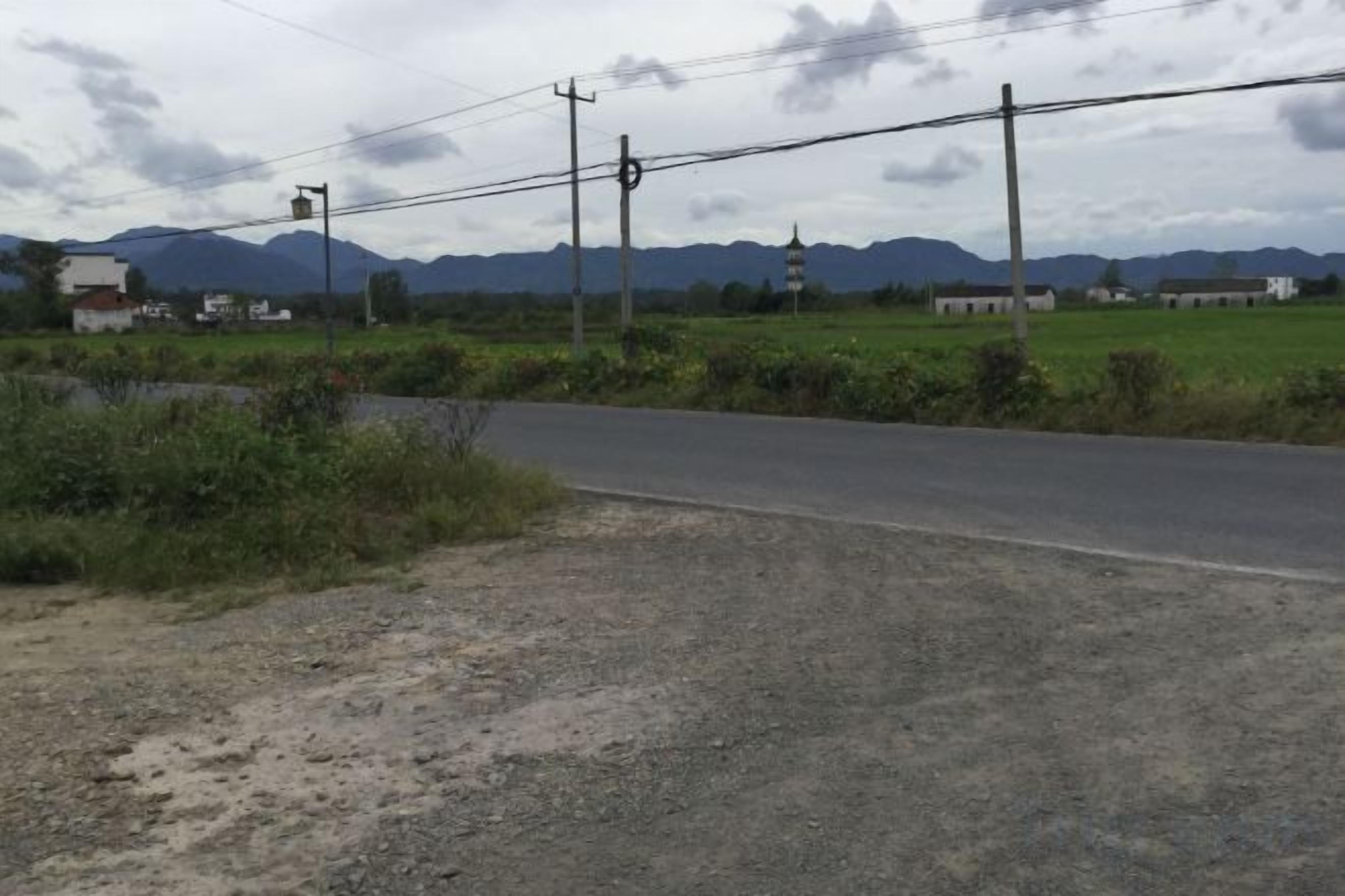 Eine Landstraße mit Schotterstreifen, Strommasten und weiter entfernten Häusern.