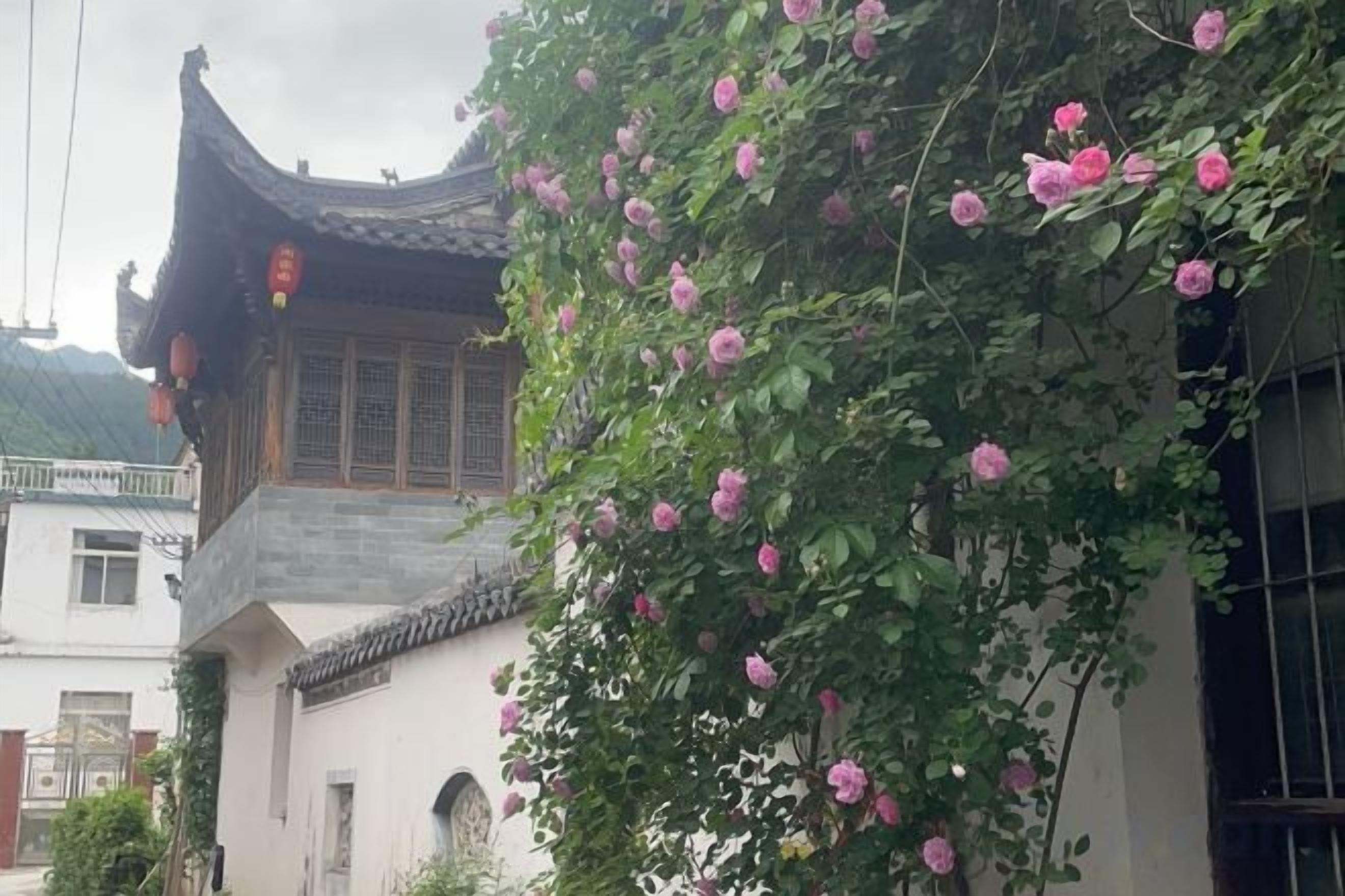 A traditional building with a curved roof and a wall covered in flowering vines.