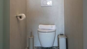 A narrow bathroom with a toilet, a trash bin, and a toilet paper holder.