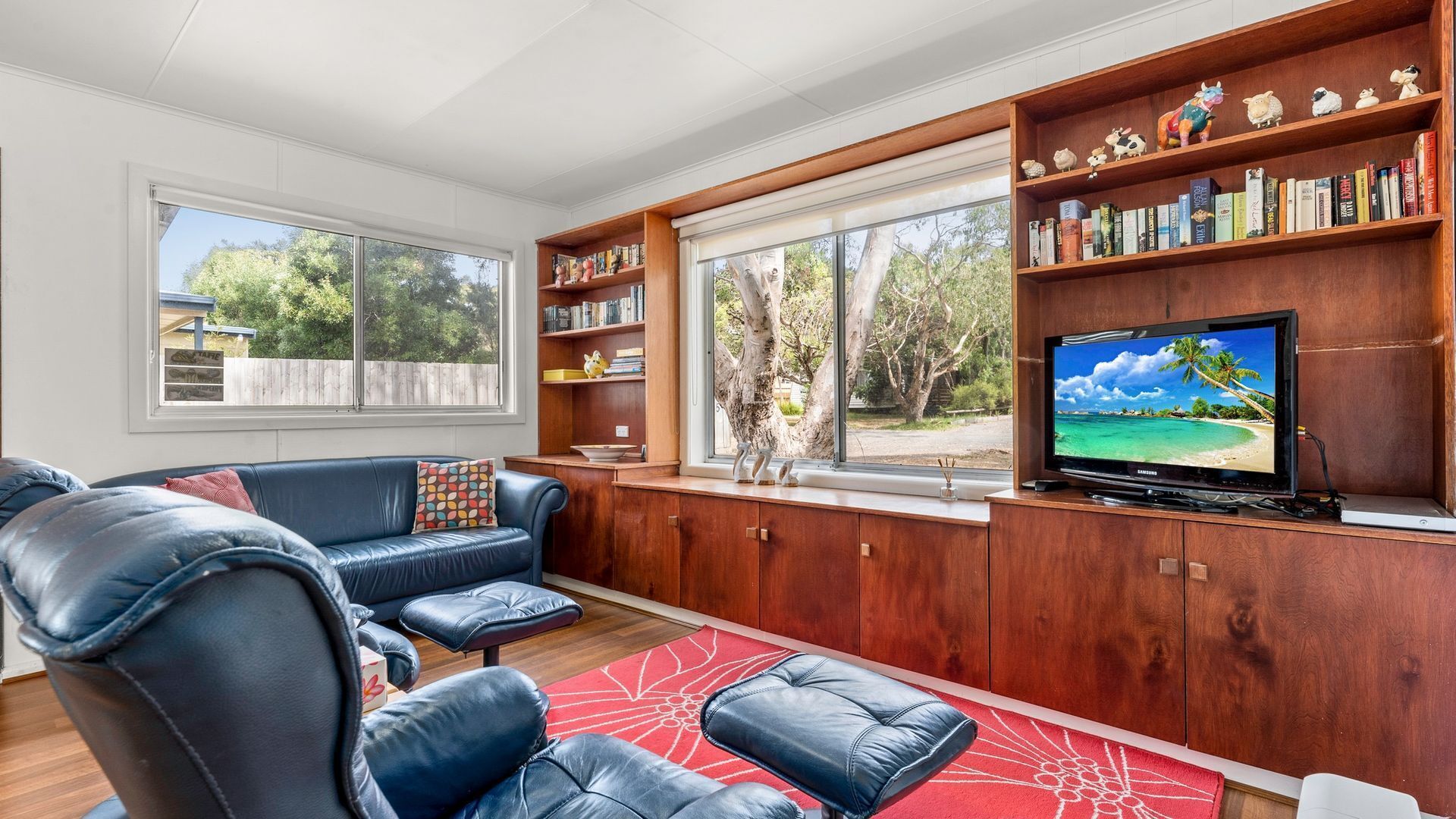 TV, table tennis, books