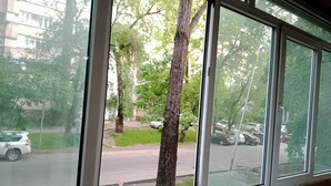 Ein Fenster mit Blick auf eine Straße, Bäume und geparkte Autos.