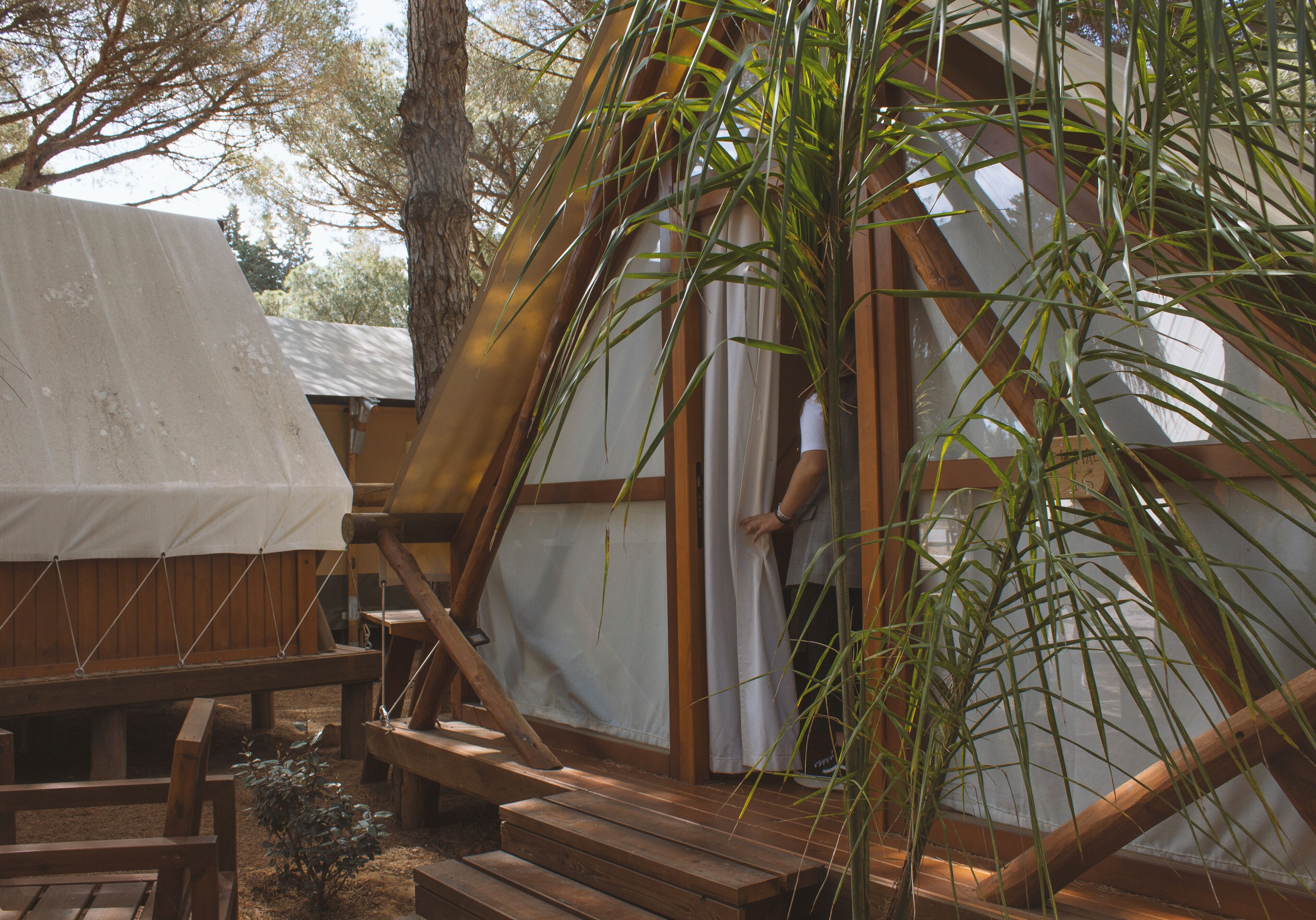 A wooden deck leading to a bamboo structure with a white curtain.