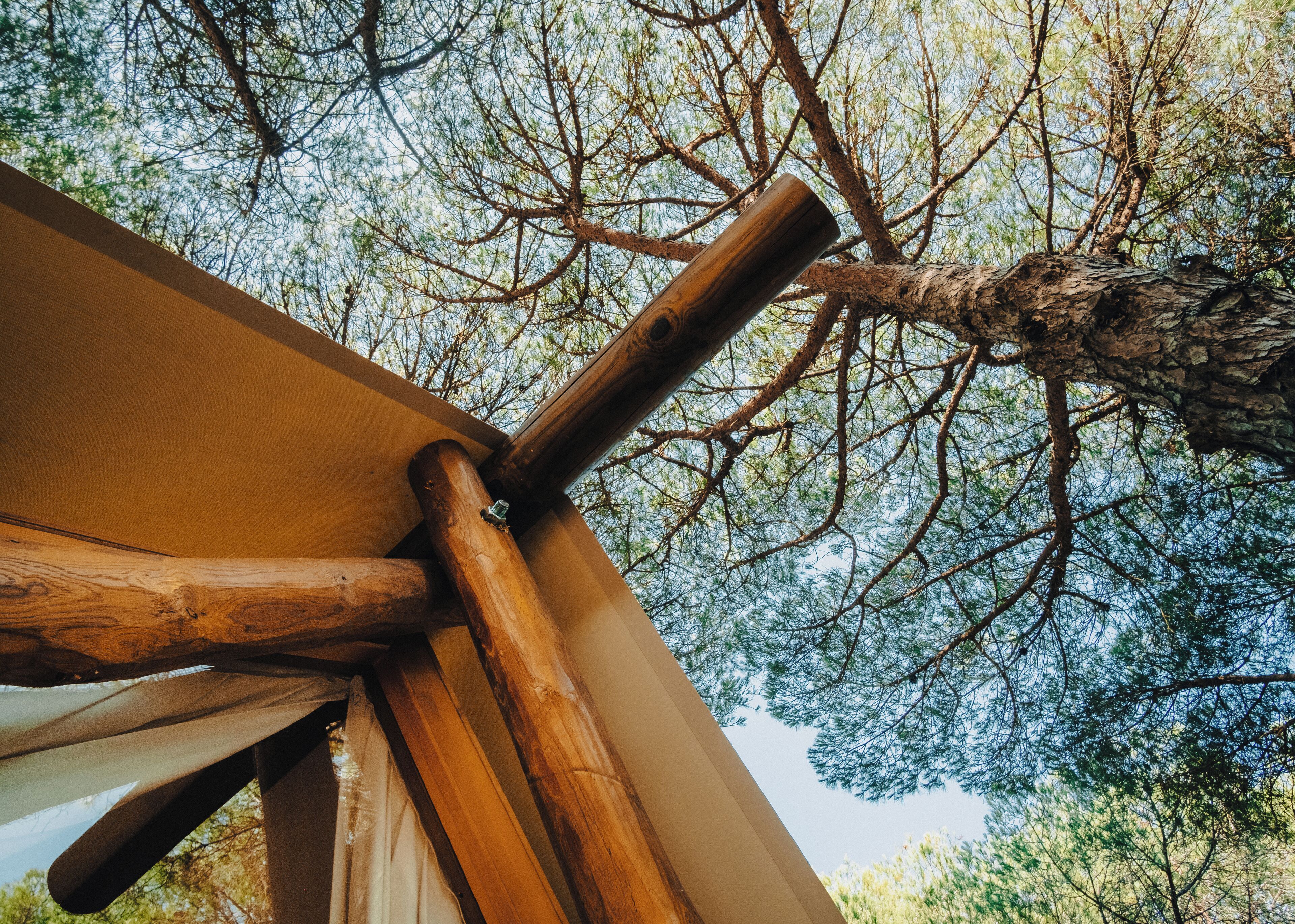Une structure en bois, renforcée par un support métallique, qui fait probablement partie de l’extérieur d’un bâtiment.