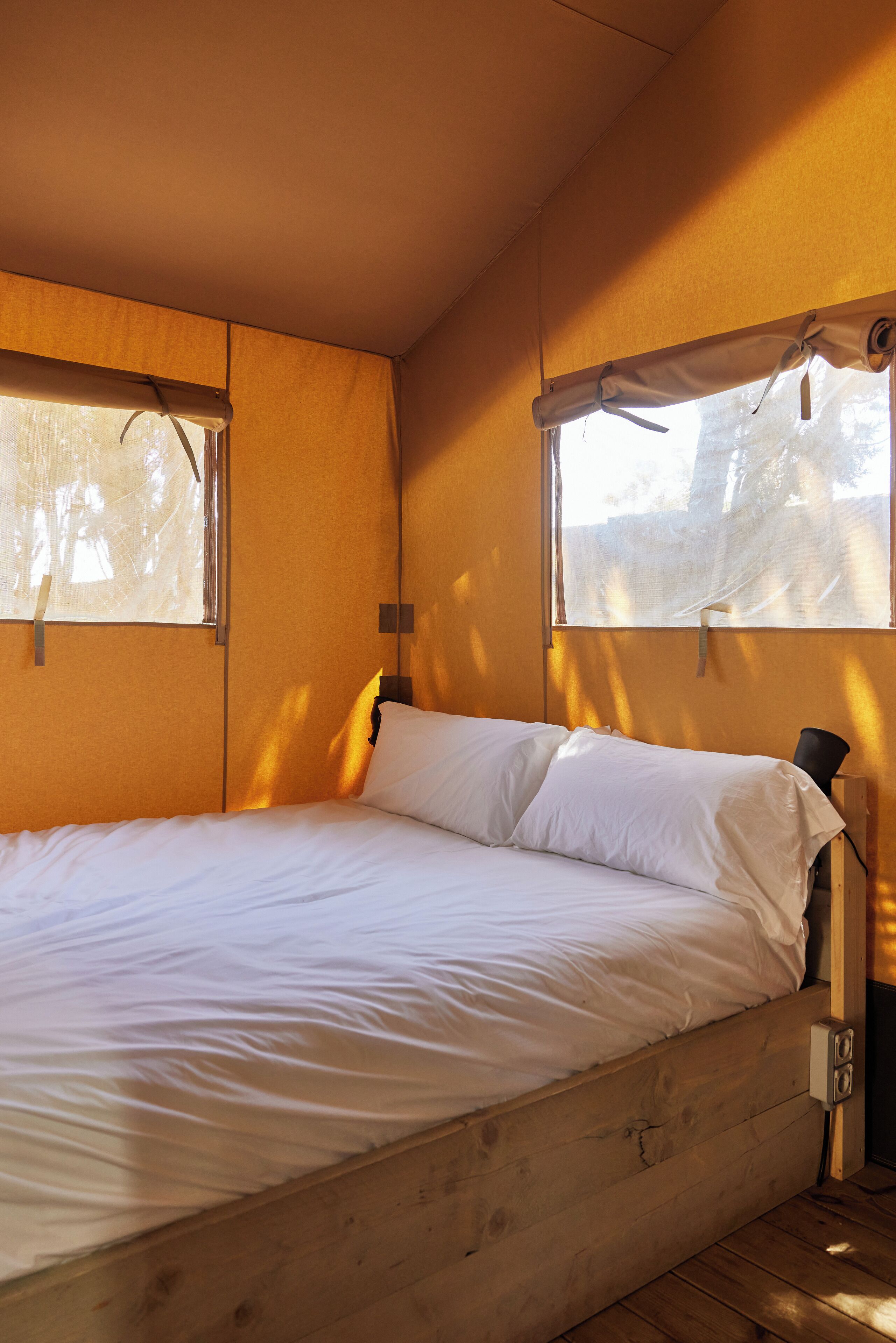 A single bed with a wooden headboard in a room with two windows, each with a curtain.