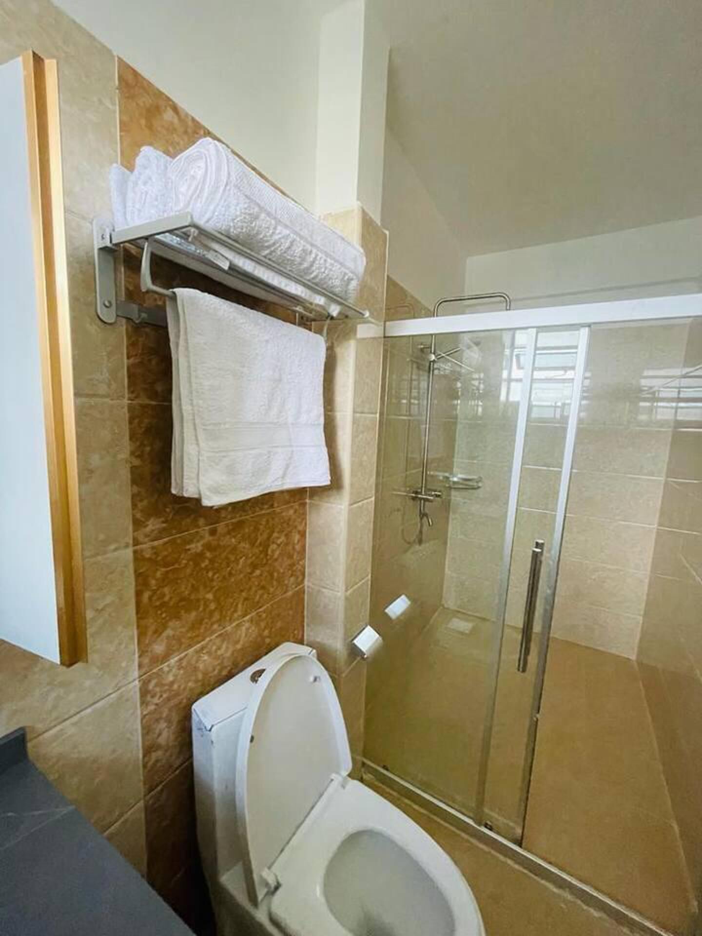 Une salle de bain avec une douche à parois de verre, des toilettes et un porte-serviettes.