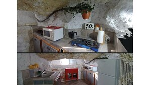 Una cocina con pared de piedra, un microondas, una estufa a gas y una planta colgante.