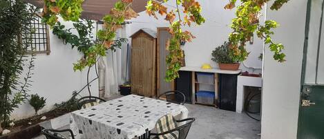 A patio with a table and chairs, a wooden door, and potted plants.