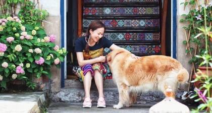 Yandang Mountain Jinlin Holiday Guesthouse