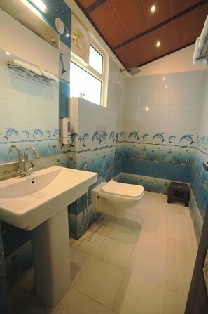 Douche, serviettes fournies, savon, papier toilette