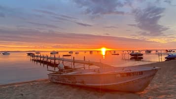 House, 4 Bedrooms | Property grounds