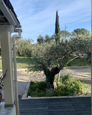 Overnattingsstedets uteområder