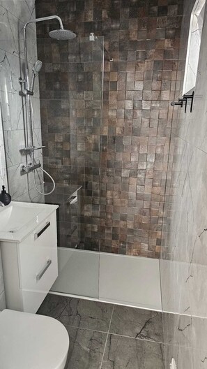 Shower, towels, toilet paper