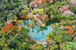 Room - Leyuan Hotel (Qiongzhong)