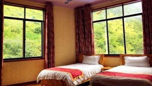 Quarto com duas camas, janelas amplas com cortinas e vista para o verde lá fora.