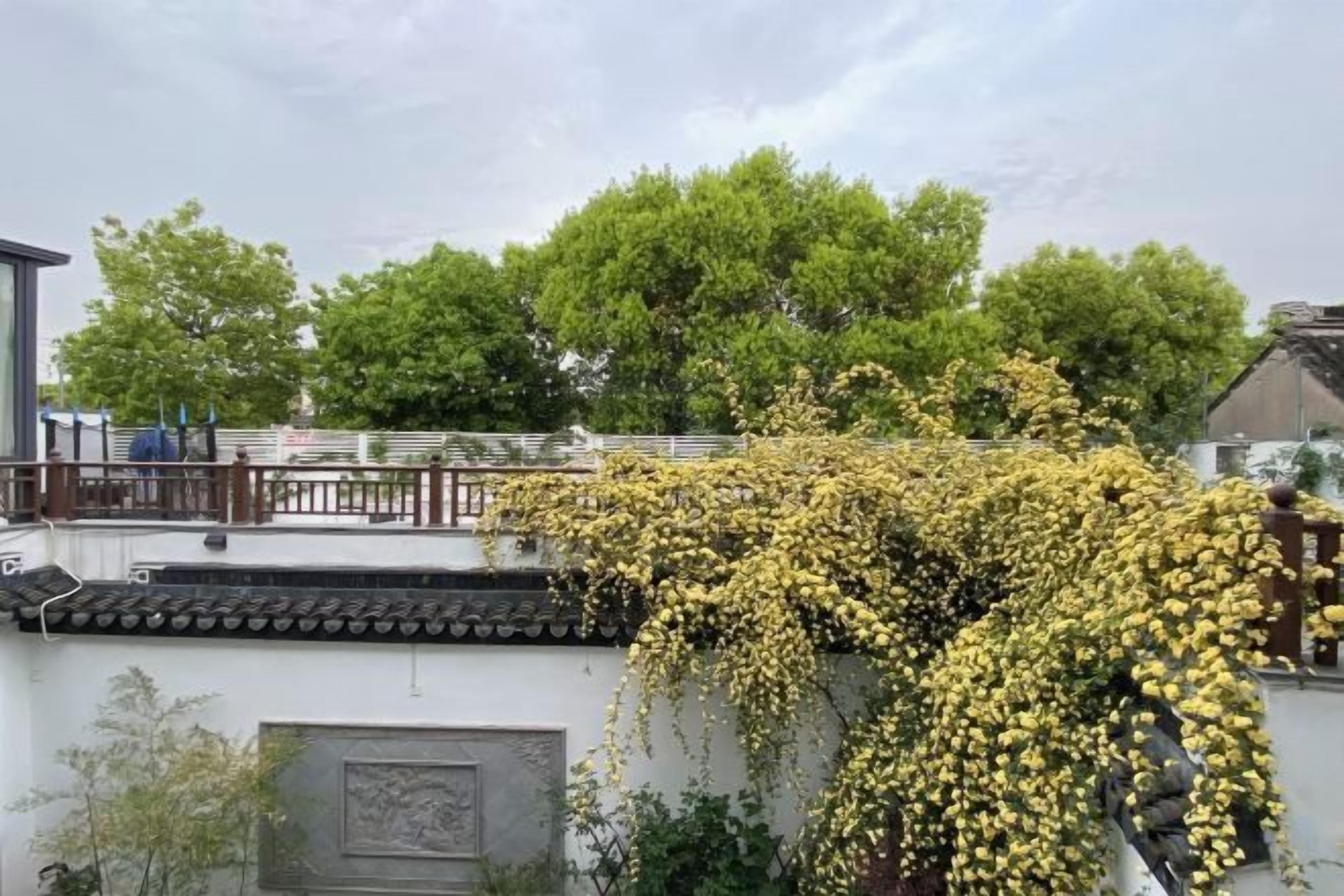 A traditional building with a tiled roof and a tree with yellow flowers in front.