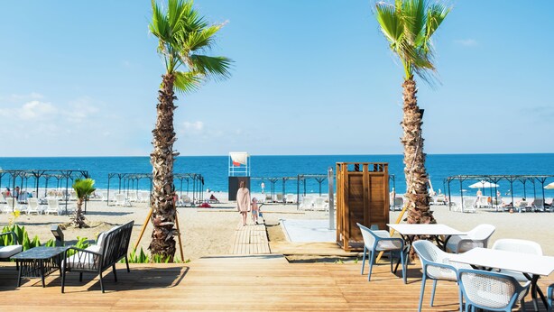 Un patio frente a la playa con palmeras, mobiliario exterior y vista al océano.