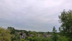 Un quartier résidentiel où les maisons sont entourées de verdure et d’arbres.