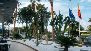 Un área ajardinada con palmeras, cactus y un edificio con banderas.