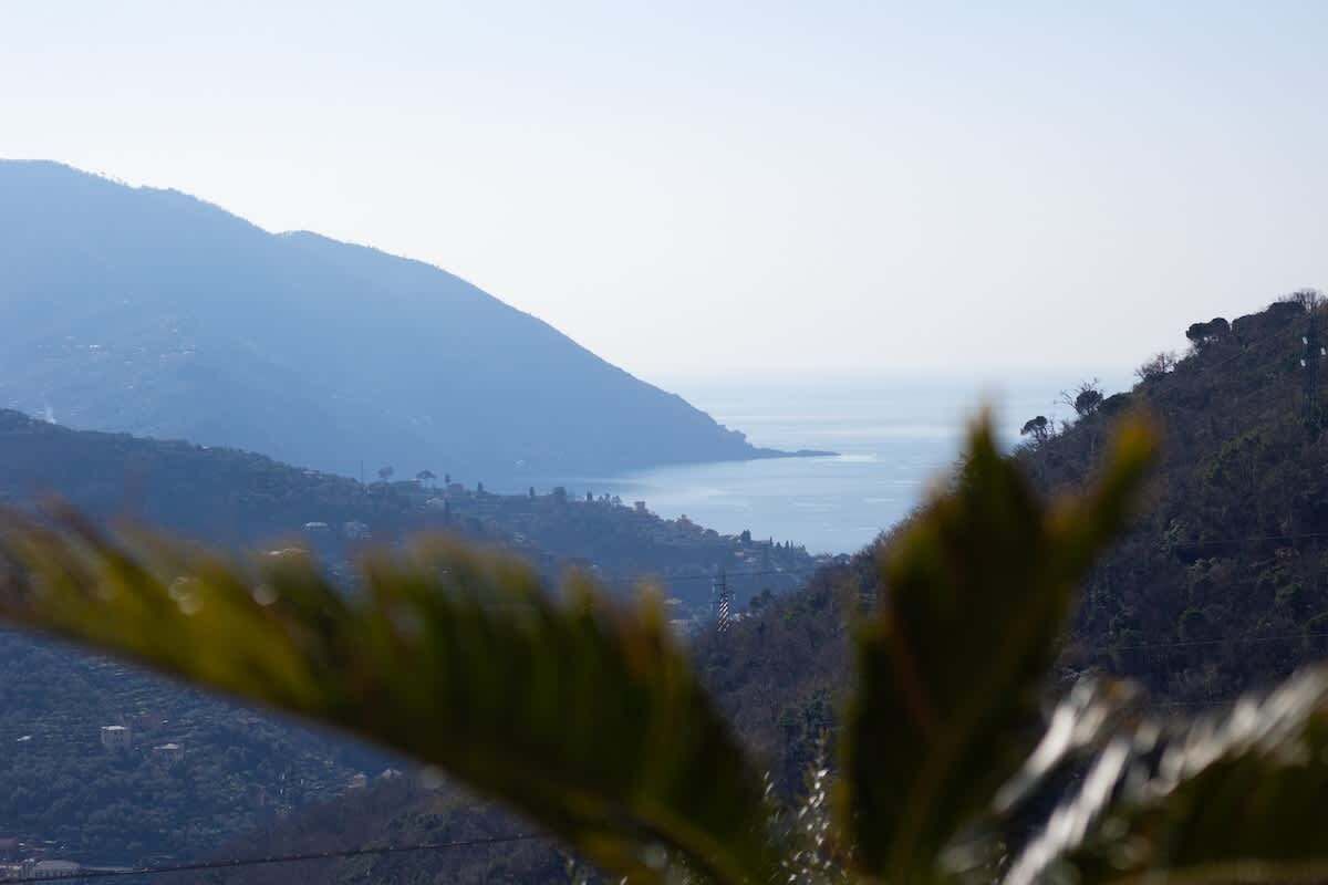 View - Villa Le Macine - Affitti Brevi Italia 
