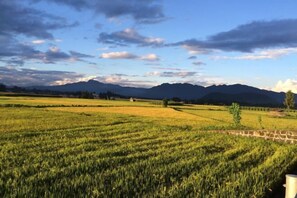 Miscellaneous - Qiudieyuan Inn (Tengchong)