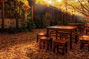 Un área de comedor al aire libre con mesas y sillas de madera, rodeada de follaje y una valla de madera.