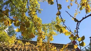 Un bâtiment traditionnel avec un toit en tuiles et des murs en bois.