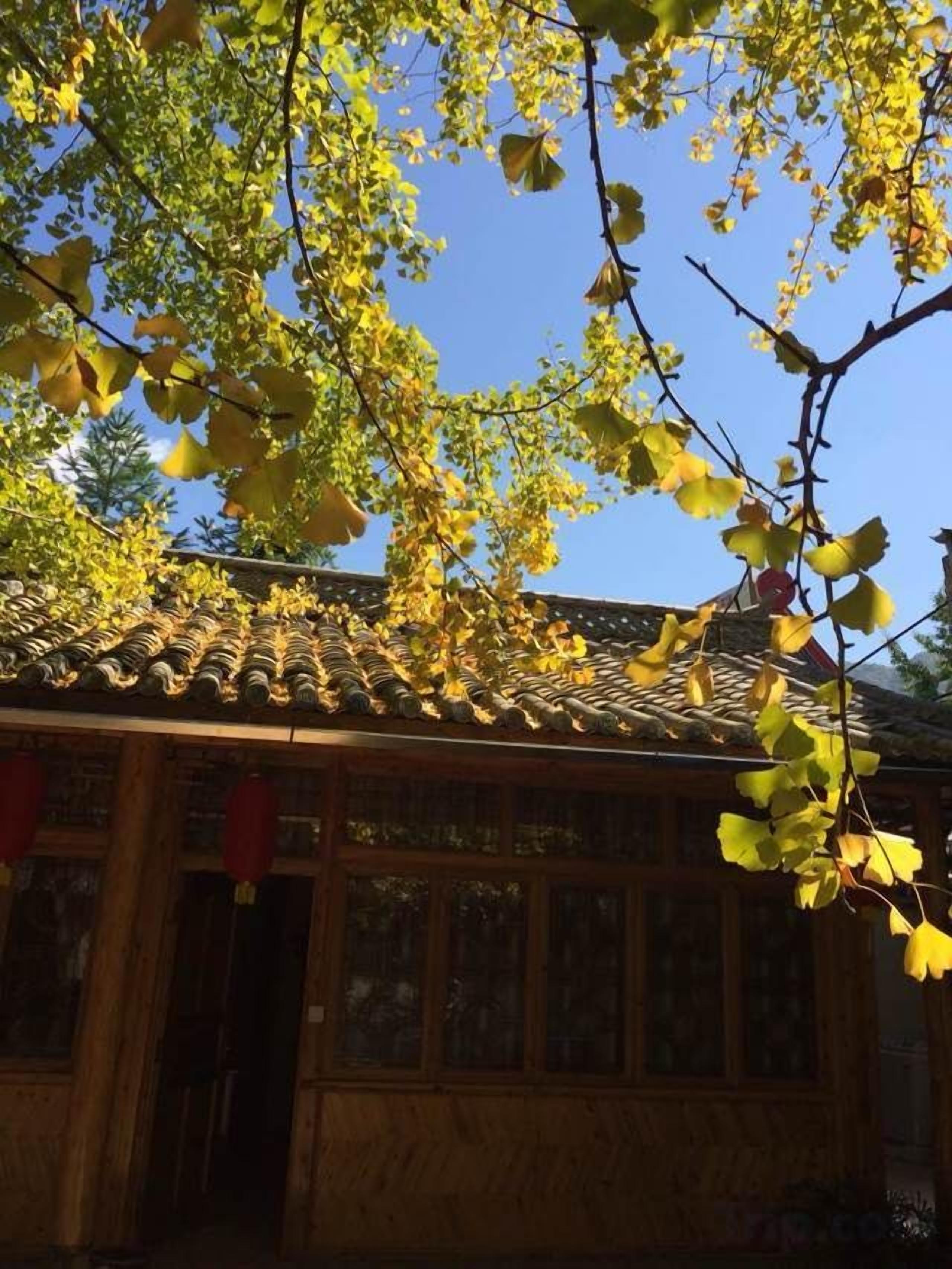 A traditional building with a tiled roof and wooden walls.
