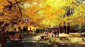 Une cour intérieure agrémentée d’arbres et de bancs, entourée d’immeubles.