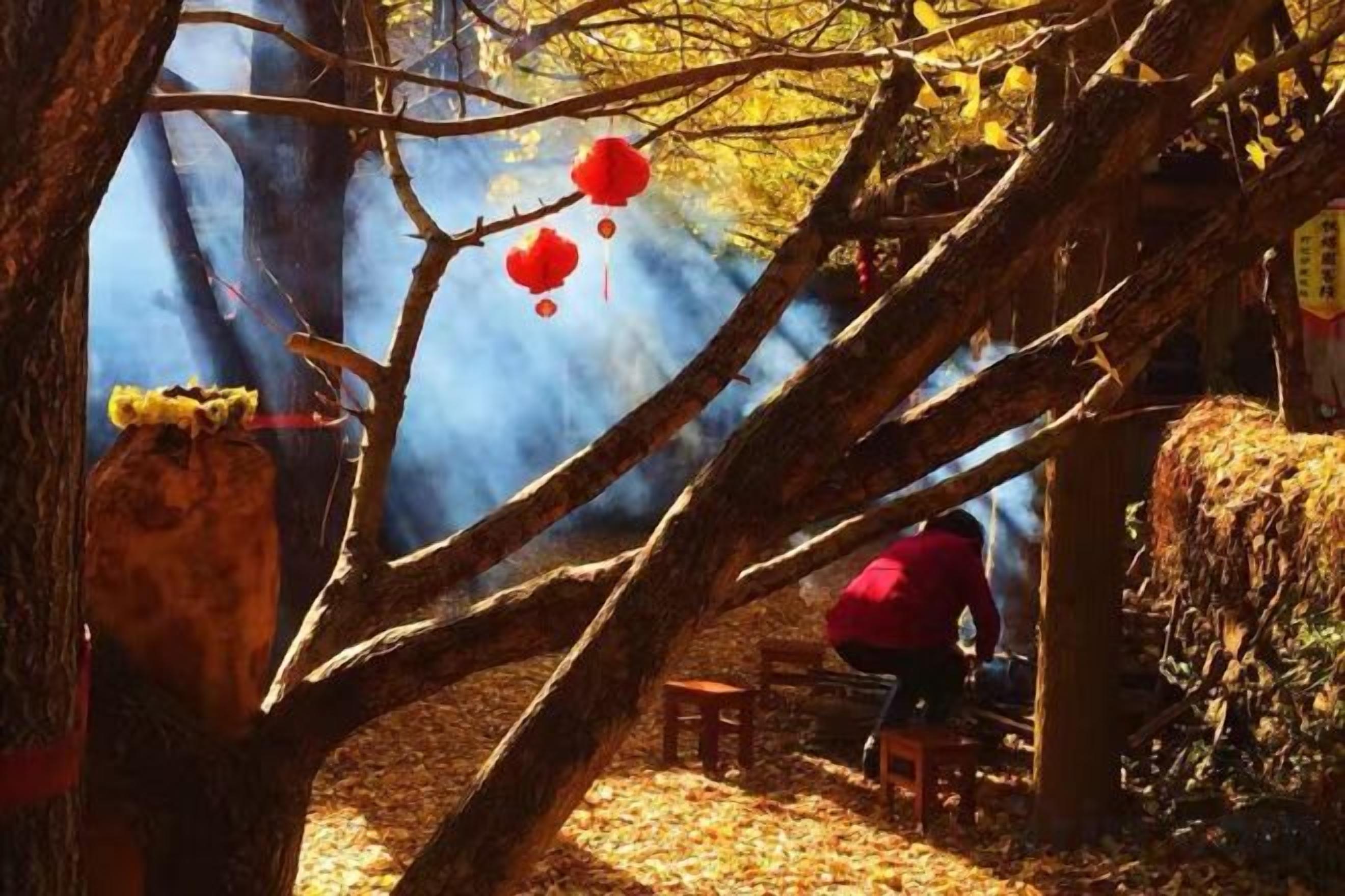 A tree with hanging decorations and a person sitting on a bench.