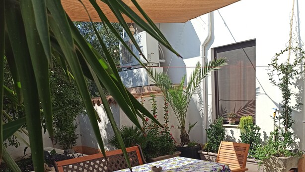 An outdoor patio with a table and chairs, surrounded by potted plants and a shaded area. - Annalú Holiday House (I.U.N. R5074) (Orosei)