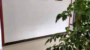 A hallway with a large potted plant, a tiled floor, and three framed floral paintings on the wall. - Jinfeng Farmhouse (Luoping)
