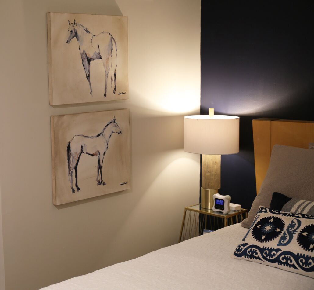 A bedroom with a bed, a bedside table with a lamp, and two wall-mounted paintings of horses.