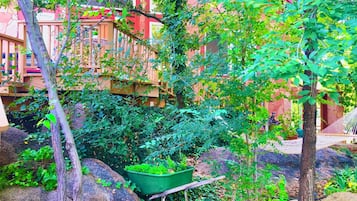 Jardines del alojamiento