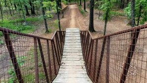 A wooden bridge with metal railings leading into a forested area.