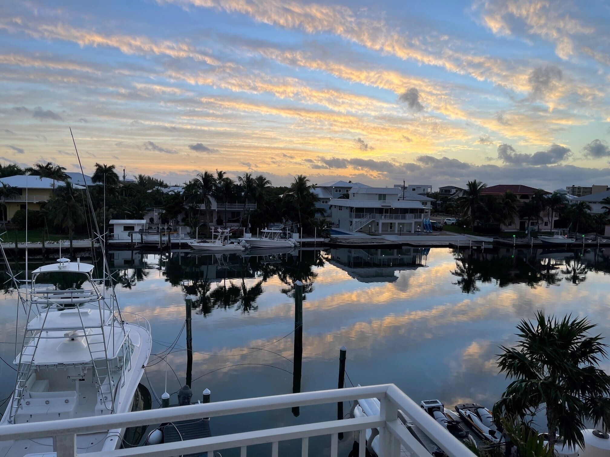 Morning Terrace View