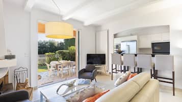 TV connectée, cheminée, livres