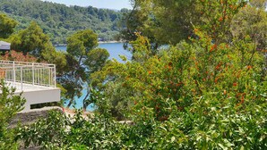Vista di una zona costiera con piscina, vegetazione rigogliosa e un edificio bianco con balcone affacciato sull'acqua.